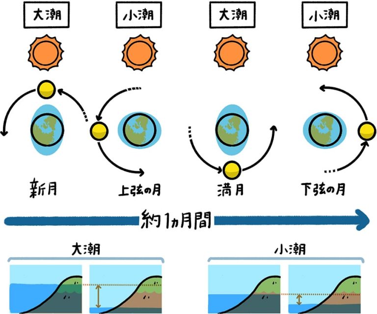 潮の満ち引きの仕組み