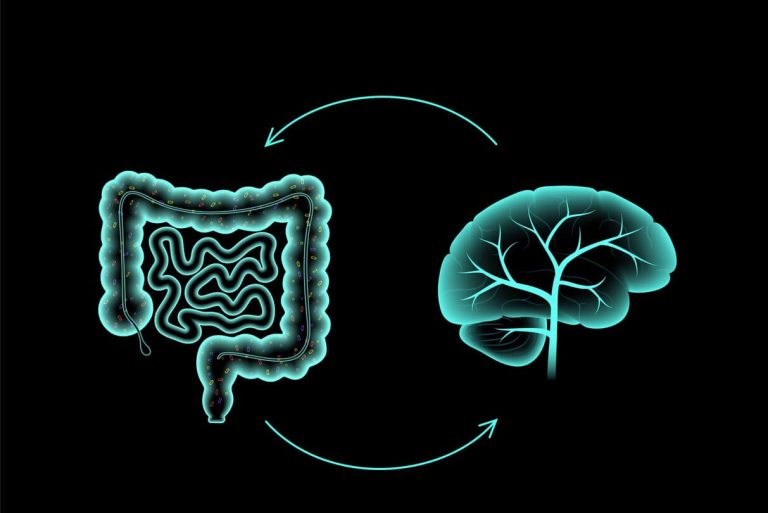 腸脳関係と精神健康の科学